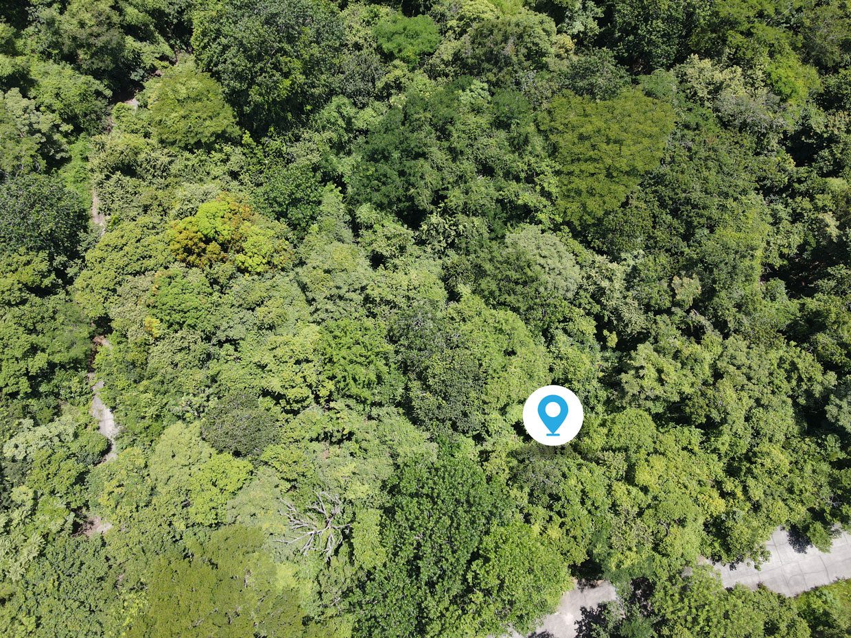 Terreno asequible en Rancho Las Colinas | Matapalo