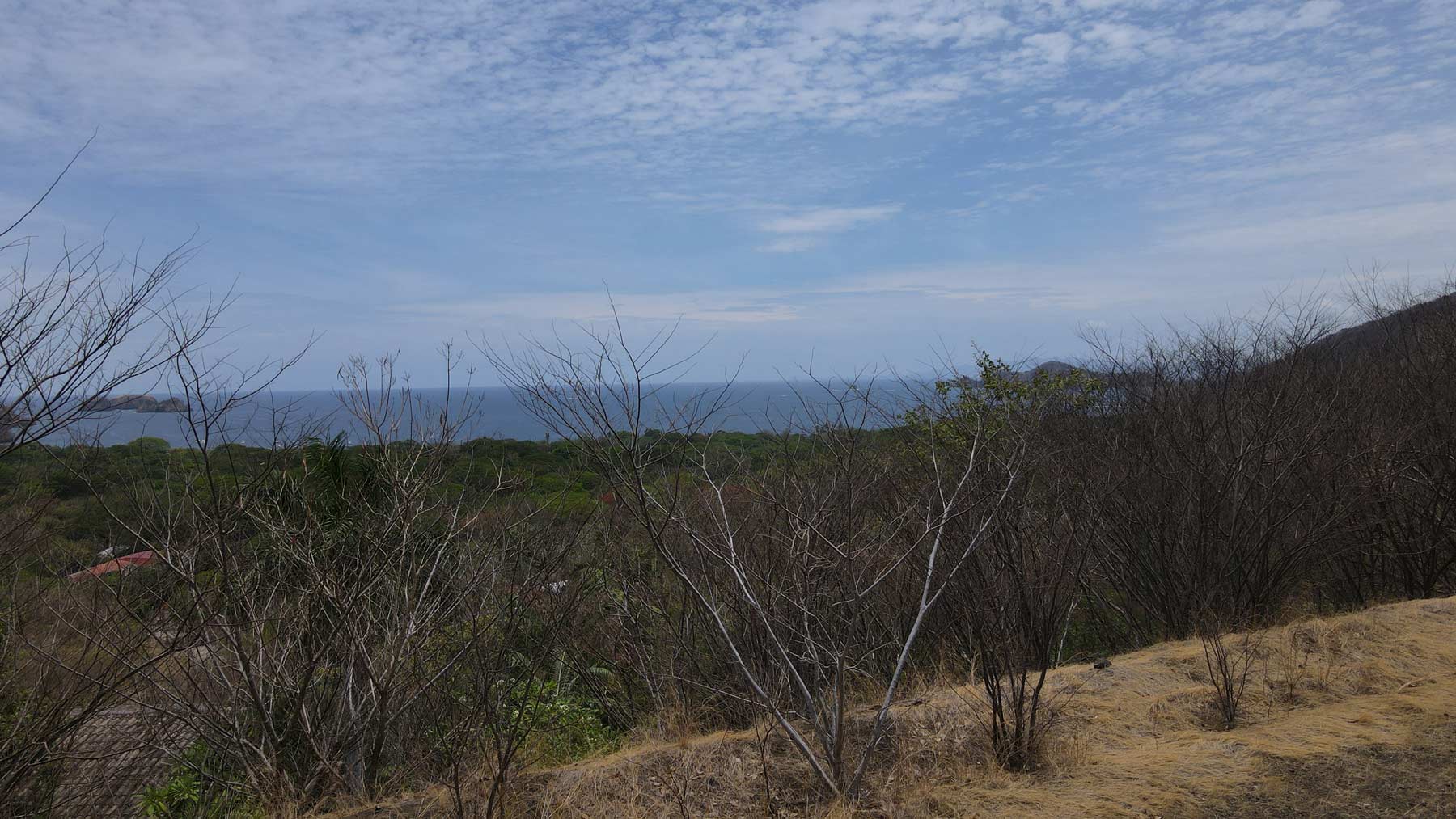 Ocean-View Lot in Alta Vista, Playa Hermosa